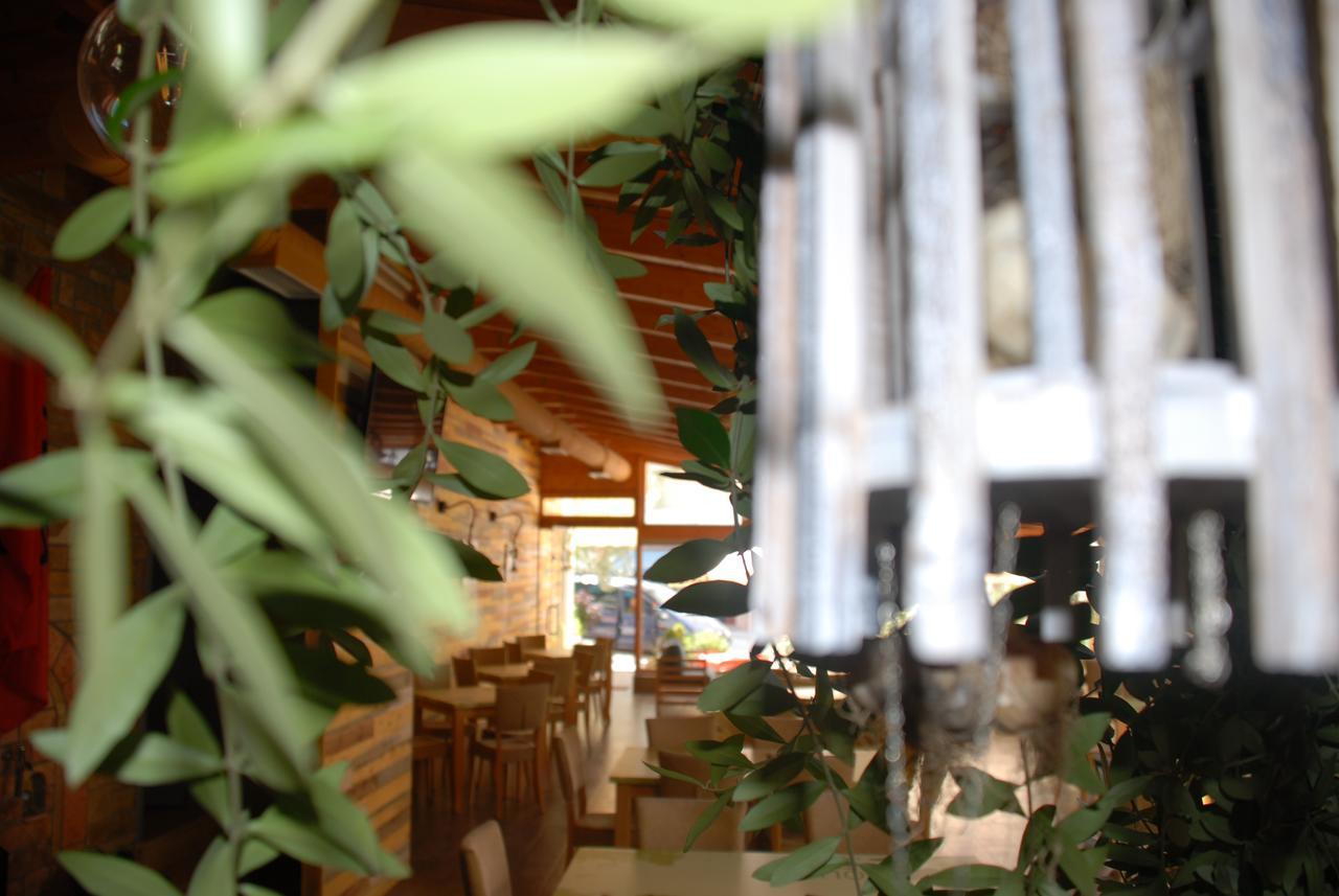 Olive Tree 4*