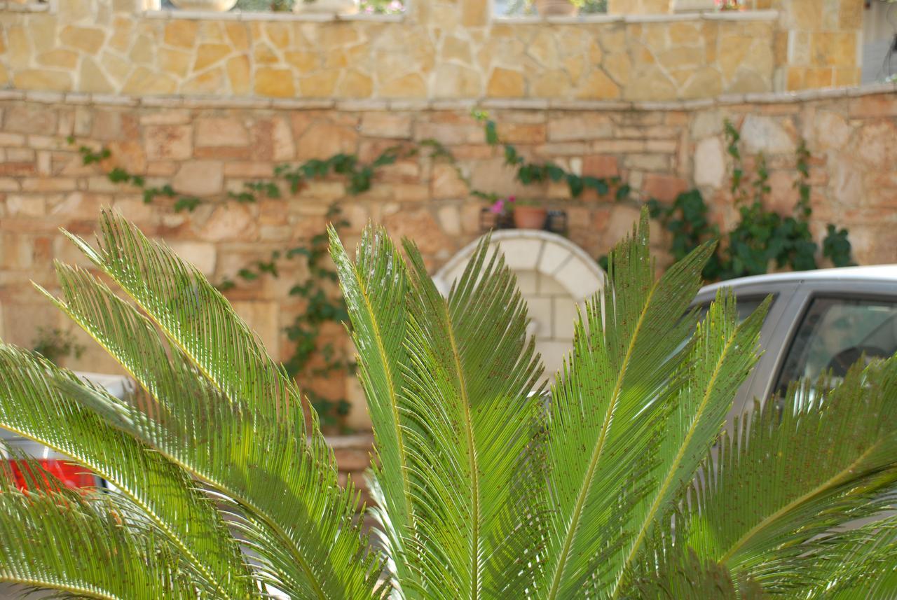 Olive Tree 4*